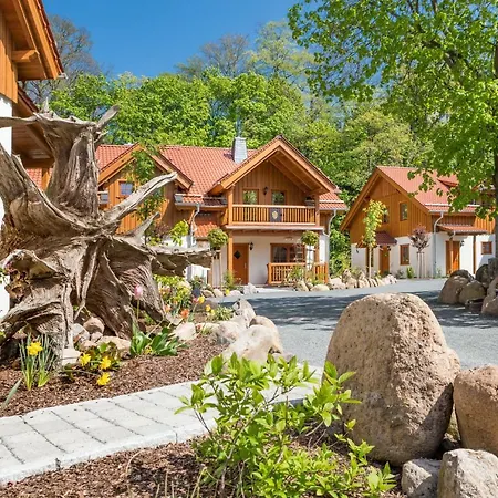Luxus Ferienhaeuser Zum Ilsetal Mit Kamin & Sauna In Im Harz Chalet